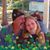 Jenn M. Albrecht's profile image
