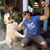 Christian Shenouda's profile image