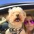 Jami Goldsmith's profile image