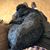 David Cain's profile image