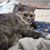 Cheryl Akers's profile image