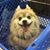 Kimberly Maynard's profile image