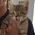 Rikki Whitney's profile image
