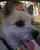 Chip P.'s profile image