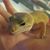Jennifer Erickson's profile image