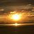 Tamera Poppe's profile image
