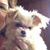 Diana Wright Connell's profile image