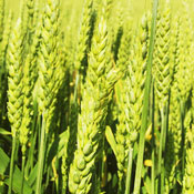 Katherine K.'s profile image