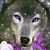 Christina Speldie's profile image