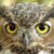 Jim Caldwell's profile image