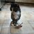 Lisa Maria's profile image