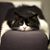 Nancy Weikal's profile image