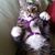Eric Colyard's profile image