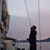 Francesco Gozzi's profile image