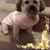 Irmay Aviles's profile image