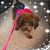 Mary Lou Staten's profile image