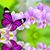 Rubi Basto's profile image