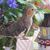 Lynn Torra's profile image
