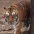 Kristal Roebuck's profile image