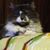 Deborah Sorokin's profile image