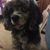 Lorrie Tucker's profile image