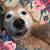 Staci Boudreaux's profile image