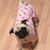Lola Brohard's profile image