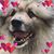 Holly Morin's profile image