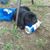 John Koehler's profile image
