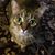 Lisa Eastridge's profile image
