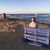 Silvia Guidi's profile image