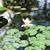 Juliann Dutra- Tidwell's profile image