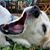 Lette Pascoe's profile image