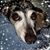 Susanne Hoshino's profile image