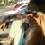 Rebecca Gross Weilersbacher's profile image