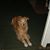 Terri Carskadon's profile image