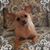 Suzy Shaffer's profile image
