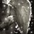 Mary DeMicco's profile image