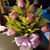 Lynn Birdsall's profile image