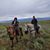Kerry Sheridan McCullough's profile image