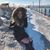 Bailey Townsend's profile image