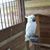 Victor Espinoza's profile image