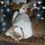 Heidi Melley Hunt's profile image