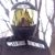 Kyle Peterson's profile image