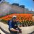 Noel Gonzales Buenavente's profile image