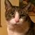Fran Goldstein Gregory's profile image