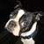 Cathy Parras's profile image