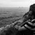 Juan Carlos Pardo's profile image