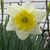 Suzy Ferguson's profile image