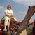 Stephanie Neil's profile image